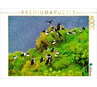 Puzzle · Papageitaucher | Nistkolonie auf Kap Dyrhólaey, Island · 2000 pièces · Format assemblé 90 × 67 cm · CALVENDO Puzzle