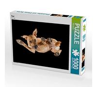 Puzzle · Paul | Changement de perspective · 1000 pièces · Format assemblé 64 × 48 cm · CALVENDO Puzzle