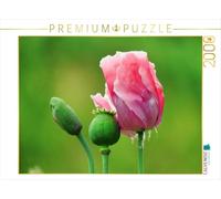 Puzzle · Pavot Rose | Fleur fermée, fleur ouverte et capsule · 2000 pièces · Format assemblé 90 × 67 cm · CALVENDO Puzzle