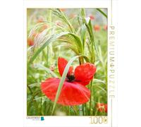 Puzzle · Pavot Rouge | Entouré d'herbes · 1000 pièces · Format assemblé 64 × 48 cm · CALVENDO Puzzle