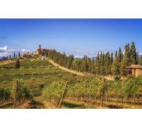 Puzzle Paysage 300 pièces - Convient aux Adultes - Aide à la Relaxation - Assemblage Facile des pièces - Idéal pour Un Cadeau, Collines, Italie, Vignoble, Toscane, Paysages, 38 x 26 cm
