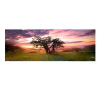 Puzzle paysage et nature MERCIER Oak Tree 2000 pièces