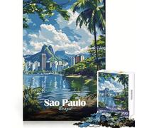Puzzle Paysage Urbain de Sao Paulo pour Adolescents, 1000 pièces, Stimulation intellectuelle, détente, Assemblage Fin, Cadeau de Vacances (38x52cm)