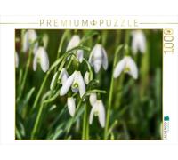 Puzzle · Perce-Neige | 1000 pièces · Format assemblé 64 × 48 cm · CALVENDO Puzzle