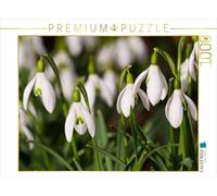 Puzzle · Perce-Neige | 1000 pièces · Format assemblé 64 × 48 cm · CALVENDO Puzzle