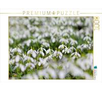 Puzzle · Perce-Neige | 1000 pièces · Format assemblé 64 × 48 cm · CALVENDO Puzzle