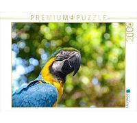 Puzzle · Perroquet | Costa Rica · 2000 pièces · Format assemblé 90 × 67 cm · CALVENDO Puzzle