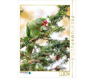 Puzzle · Perruche à Collier | Les oiseaux en ville · 1000 pièces · Format assemblé 64 × 48 cm · CALVENDO Puzzle
