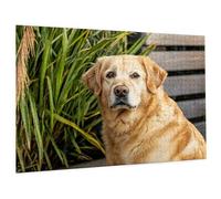 Puzzle Personnalisé Photo 1000/1500/3000/5000 Pièces, Puzzle Personnalisable avec Votre Propre Photo et Text pour Adults Enfants, Cadeau pour Vacances Anniversaire Mariage (Horizontal/Vertical) C-310