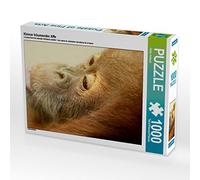 Puzzle · Petit Singe rêveur | Bébé orang-outan · 1000 pièces · Format assemblé 64 × 48 cm · CALVENDO Puzzle