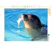 Puzzle · Phoque commun (Phoca vitulina | C'est trop bon · 1000 pièces · Format assemblé 64 × 48 cm · CALVENDO Puzzle