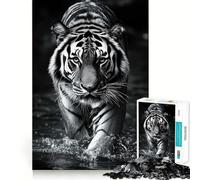 Puzzle Photo en Noir et Blanc de 1000 pièces représentant Un Tigre dans l'eau idéal pour Les Adolescents pour développer Leur mémoire et Jouer à l'intérieur Découpe Fine Motif Vœux 38x26cm