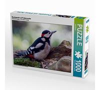 Puzzle · Pic épeiche à la Recherche de Nourriture | Un pic épeiche est à la recherche de nourriture · 1000 pièces · Format assemblé 64 × 48 cm · CALVENDO Puzzle