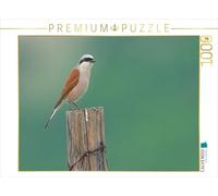 Puzzle · Pie-grièche écorcheur | 1000 pièces · Format assemblé 64 × 48 cm · CALVENDO Puzzle