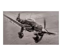 Puzzle Pièces Ju 87 B-2 Stuka - German Dive Bomber