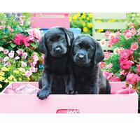 Puzzle Pièces Xxl - Labradors Noirs Dans Une Boîte Rose - Puzzle 500 Pièces