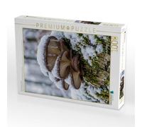 Puzzle · Pilz Porträt Austernseitling | Winterliches Pilz Motiv mit Austernseitlingen im Schnee · 1000 pièces · Format assemblé 64 × 48 cm · CALVENDO Puzzle
