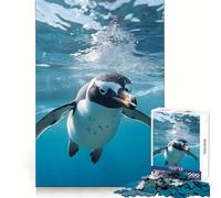 Puzzle Pingouin Nageur 1000 Pièces Cadeau pour Adultes Jeu de Logique Découpe Précise Cadeau Élégant (38x26cm)
