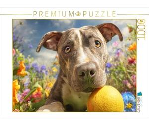 Puzzle · Pit Bull avec Balle | Ludique parmi les fleurs · 1000 pièces · Format assemblé 64 × 48 cm · CALVENDO Puzzle