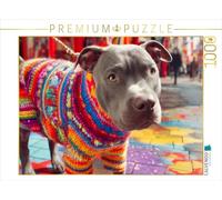 Puzzle · Pit Bull en Tricot Multicolore | Maman m'a tricoté un joli pull-over · 1000 pièces · Format assemblé 64 × 48 cm · CALVENDO Puzzle