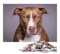 Puzzle Pitbull 500 pièces pour Adolescents, Cadeaux de Noël pour Adultes (500 pièces, 52 x 38 cm)