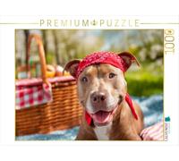 Puzzle · Pitbull - Bereit fürs Picknick | Sommer, Sonne, Pitbull · 1000 pièces · Format assemblé 64 × 48 cm · CALVENDO Puzzle