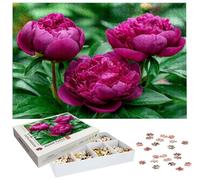 Puzzle Pivoine 3000 Pièces Adultes, Puzzle 3000 Pièces pour Adultes et Enfants à Partir de 14 Ans, Fleur Puzzles Bois de Qualité Supérieure avec Une Boîte d'emballage Exquise, Cadeau Femme/Homme H-429