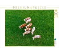 Puzzle · Plusieurs Vaches Brunes et Blanches paissent tranquillement dans | un pâturage verdoyant de l'Allgäu vu du ciel · Cette photo… · 1000 pièces · Format assemblé 64 × 48 cm · CALVENDO Puzzle