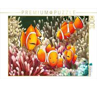 Puzzle · Poisson-Clown Explorateur coloré | Aventure dans le récif de corail · 1000 pièces · Format assemblé 64 × 48 cm · CALVENDO Puzzle