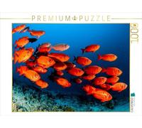 Puzzle · Poissons-Soldats | Courageux, colorés et en formation · les poissons soldats du… · 1000 pièces · Format assemblé 64 × 48 cm · CALVENDO Puzzle