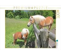 Puzzle · Poney | 1000 pièces · Format assemblé 64 × 48 cm · CALVENDO Puzzle