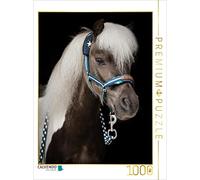 Puzzle · Poney des Shetland | 1000 pièces · Format assemblé 64 × 48 cm · CALVENDO Puzzle