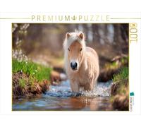 Puzzle · Poney des Shetland - Aventure au Bord du ruisseau | Petite exploratrice dans la forêt · 1000 pièces · Format assemblé 64 × 48 cm · CALVENDO Puzzle