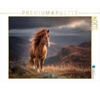 Puzzle · Poney des Shetland - dans Le Souffle des Montagnes | Beauté sauvage · 1000 pièces · Format assemblé 64 × 48 cm · CALVENDO Puzzle