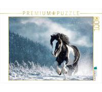 Puzzle · Poney des Shetland - Liberté sous la lumière ernale | La magie de l' er à quatre sabots · 1000 pièces · Format assemblé 64 × 48 cm · CALVENDO Puzzle