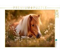 Puzzle · Poney des Shetland - Moments paisibles d'été | Un endroit qui fait rêver · 1000 pièces · Format assemblé 64 × 48 cm · CALVENDO Puzzle