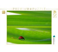 Puzzle · Porte-Bonheur | coccinelle · 500 pièces · Format assemblé 48 × 36 cm · CALVENDO Puzzle