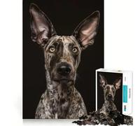 Puzzle Portrait de Chiot moucheté pour Adultes 1000 pièces Smart Reason Toy Group Joy Smooth Edge Fine Art Piece 38x26cm