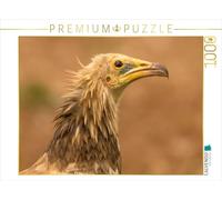 CALVENDO Puzzle Vautour égyptien en Portrait | 1000 pièces de Taille de la Pose 64 x 48 cm Puzzle Photo pour des Heures heureuses