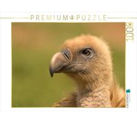 Puzzle · Portrait d'un vautour Fauve