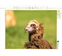 CALVENDO Puzzle Vautour de Moine en Portrait | 1000 pièces de Taille de la Pose 64 x 48 cm Puzzle Photo pour des Heures heureuses