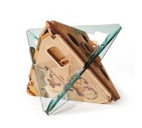 Puzzle Potato - Anti-gravité - Puzzle Escape Room Jeu - Boîte à Puzzles - Puzzle 3D - Casse-tête mécanique en boîte - Jeu de réflexion pour Adultes