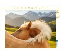 Puzzle · Poulain Haflinger - Zone Qui démange | 1000 pièces · Format assemblé 64 × 48 cm · CALVENDO Puzzle