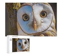 Puzzle pour Adolescents 1000 PCS Barn Owl Close-Up Puzzles pour Adultes Jeux De Bricolage Analyse Et Logique Jeu Stimulant Cadeaux 1000 PCS