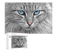 Puzzle pour Adolescents 1000 PCS Blue-Eyed Fluffy Cat Close-Up Puzzle pour Adultes - Jeu Manuel - Décoration Murale - Cadeaux Uniques pour Anniversaire Et Noël 1000 PCS