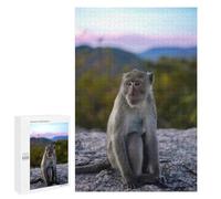 Puzzle pour Adolescents 1000 PCS Monkey on A Mountaintop Puzzles pour Adolescents - Jouets Anti-Stress - Assemblage De Motifs - Cadeaux Uniques pour Anniversaire Et Noël 1000 PCS