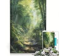 Puzzle pour Adolescents 1000 pièces Chemin de Pierres à Travers Une forêt de bambous Jeu Manuel améliore la mémoire Cadeau pour Les Amis et la Famille 38x52cm
