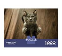 Puzzle pour Adolescents 1000 Pièces Curious Grey Cat Puzzles pour Adultes Jeu Manuel Améliore La Mémoire Interaction Parent-Enfant 52x38cm/1000pcs