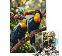 Puzzle pour Adolescents 1000 pièces Deux Toucans sur Une Branche Jeu de réflexion et de logique pour décorer Un Mur (Dimensions 38x52m)