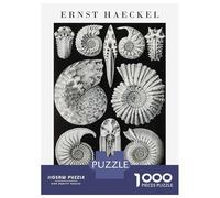 Puzzle pour Adolescents 1000 Pièces Ernst Haeckel Ammonite Illustration Puzzle pour Adultes Jeux Relaxants Cadeau d'anniversaire Activités Amusantes À La Maison, 38x26cm/1000pcs